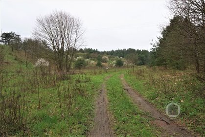 działka na sprzedaż 4000m2 działka Łęgowo