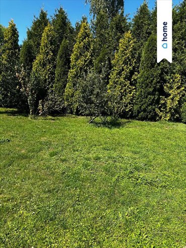 Dom na sprzedaż Dąbrowa Górnicza, Strzemieszyce Wielkie, Bursztynowa 198m2 Foto 4