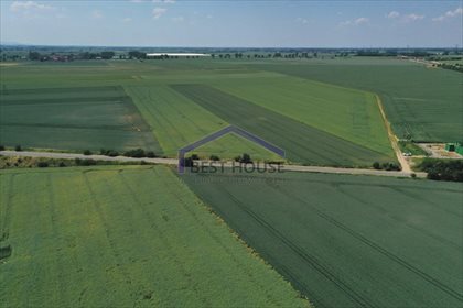 Działka przemysłowo-handlowa na sprzedaż Kurów 23 400m2 Foto 5