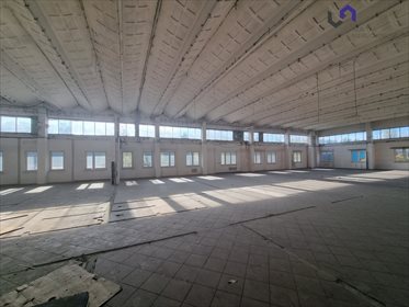 lokal użytkowy na wynajem 612m2 lokal użytkowy Katowice, Ligota