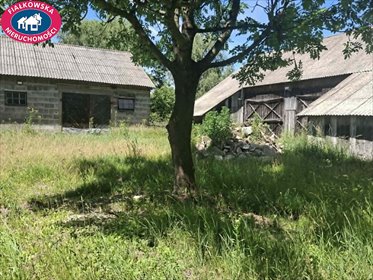 Siedlisko Żuków z domem 360 m² i podziałem. dom Żuków