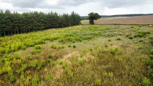 działka na sprzedaż 3000m2 działka Kicin