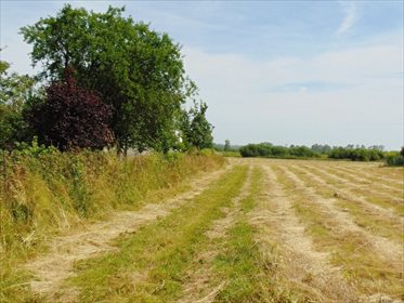 działka na sprzedaż 4800m2 działka Reda, Bociania