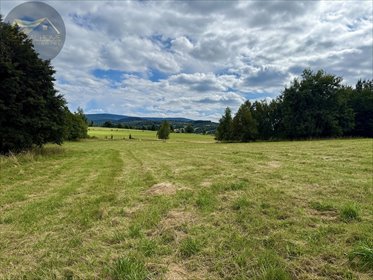 działka na sprzedaż 4025m2 działka Michałkowa