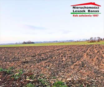 Polecam działkę budowlaną 2615 m² z pozwoleniem i mediami działka Dragacz