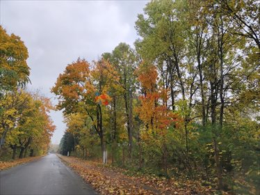 działka na sprzedaż 997m2 działka Stara Wieś