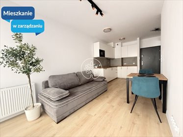 Nowoczesne 36 m² w Bydgoszczy (blisko terenów zielonych) mieszkanie Bydgoszcz, Czyżkówko, Flisacka