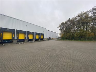 Lokal użytkowy na wynajem Wola Rakowa 9 500m2 Foto 3