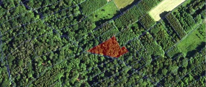 działka na sprzedaż 12800m2 działka Glinik