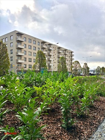 Nowa kawalerka z balkonem od dewelopera - bez PCC! mieszkanie Wrocław, Nowy Dwór, Nowodworska