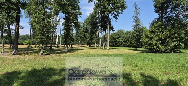 Do sprzedania działka leśna z pozwoleniem na dom 100 m² w Wólce Radzymińskiej działka Wólka Radzymińska