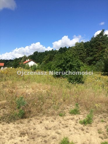 Polecam działkę w Kruszynie z planem zagospodarowania działka Kruszyn