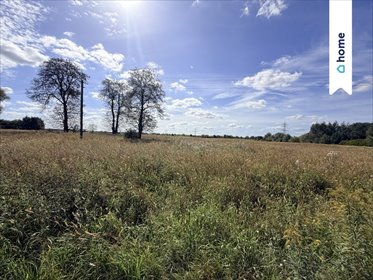 Sprzedam dużą działkę rolną 43 300 m² w Marianowie działka Marianów