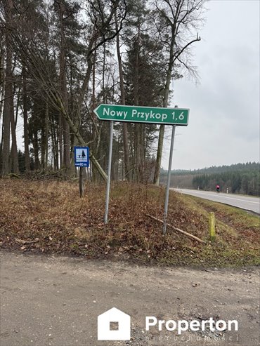 Działka budowlana na sprzedaż Przykop 3 024m2 Foto 3
