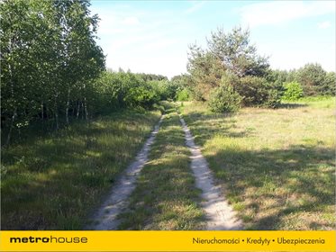 Działka budowlana na sprzedaż Wójcice, Jelcz-Laskowice 22 341m2 Foto 5