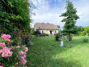 Dom wolnostojący na 17-arowej działce w Brzeziu dom Brzezie k. Sulechowa