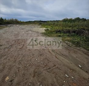 Polecam dużą działkę 46 050 m² z MPZP i mediami w Żółwinie działka Żółwin