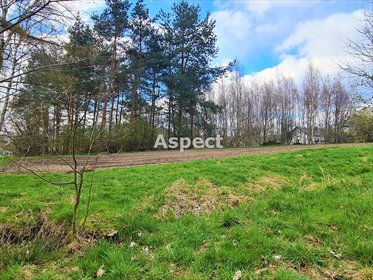 działka na sprzedaż 2900m2 działka Godów