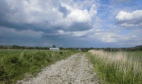 Działka rolna na sprzedaż Brzezinka 3 200m2 Foto 4