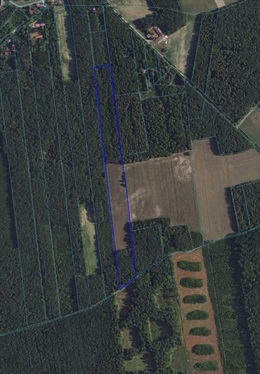 Atrakcyjna działka rolno-leśna 4,55 ha z dostępem do drogi działka Zielona