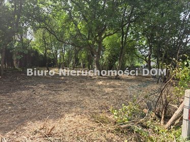 Zapraszam do zakupu działki 1393 m² w cichej, zielonej okolicy działka Częstochowa, Grabówka