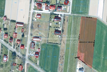 Działka 8 001 m² pod inwestycję przy asfaltowej drodze. działka Terebela