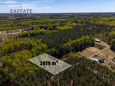 Działka 3019 m² w Badowo-Dańki - budowa domu do 2 kondygnacji działka Badowo-Dańki, Porzeczkowa