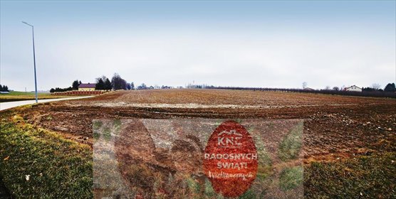 działka na sprzedaż 2000m2 działka Tomaszowice