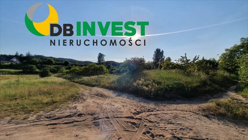 działka na sprzedaż 4000m2 działka Rumia, Biała Rzeka, Sadowa