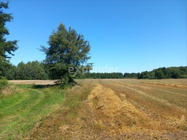 działka na sprzedaż 13200m2 działka Blinno