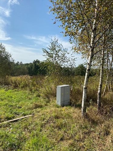 działka na sprzedaż 1604m2 działka Mikołów, Mokre, Na stoku, Na stoku