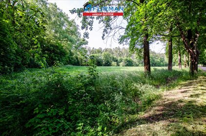 Działka leśna na sprzedaż Głomsk 18 000m2 Foto 5