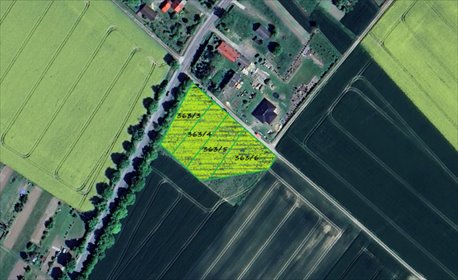 działka na sprzedaż 994m2 działka Zielin, Wincentego Witosa