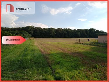 działka na sprzedaż 1064m2 działka Barcin-Wieś