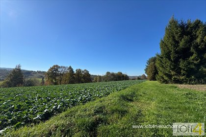 działka na sprzedaż 950m2 działka Tuchów, Ryglicka