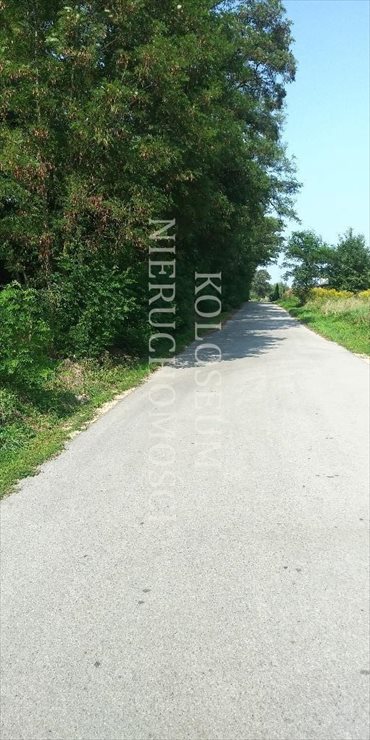 Działka budowlana na sprzedaż Mirosławice 2 000m2 Foto 2