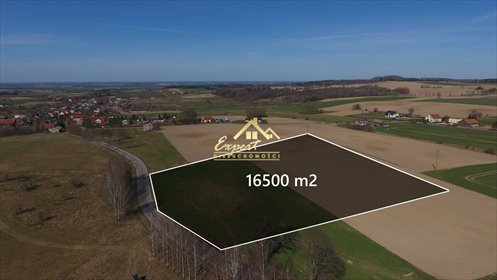 działka na sprzedaż 16500m2 działka Pietrzwałd