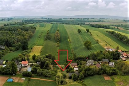Dom na sprzedaż Prawęcin 240m2 Foto 2
