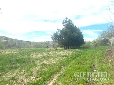 działka na sprzedaż 5400m2 działka Nowy Borek