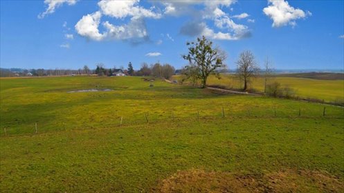 działka na sprzedaż 3000m2 działka Brejdyny
