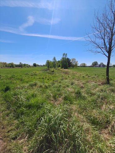 działka na sprzedaż 2800m2 działka Godziesze Wielkie, Borek