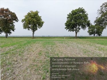 działka na sprzedaż 45000m2 działka Nowe Chojno