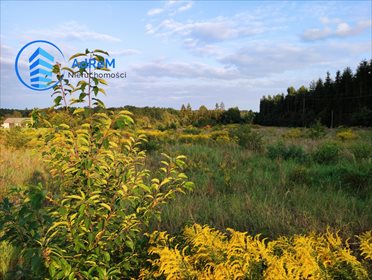 działka na sprzedaż 18104m2 działka Henryków-Urocze