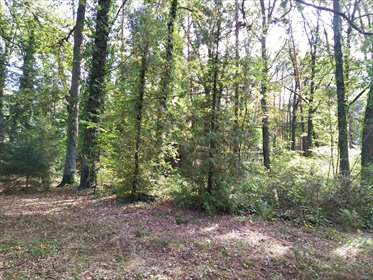 działka na sprzedaż 2958m2 działka Sokolniki-Las, kpt. Pilota Franciszka Żwirki