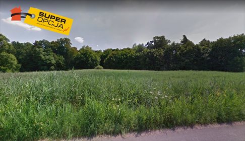 Działka budowlana na sprzedaż Wielkie Drogi 2 300m2 Foto 5