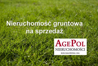 działka na sprzedaż 3000m2 działka Radzymin, Kolonia pod lasem