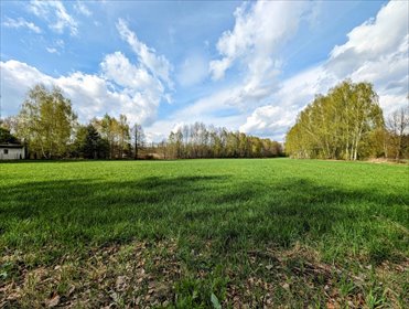 działka na sprzedaż 11900m2 działka Anielin Swędowski, Szlachecka