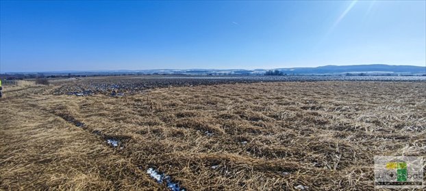 działka na sprzedaż 901m2 działka Słupice