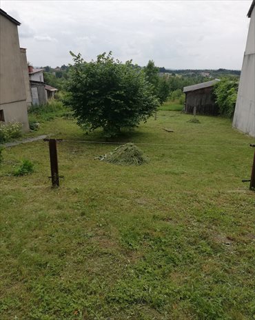 Działka budowlana na sprzedaż Ciosowa, Ciosowa 1 950m2 Foto 2