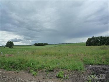 działka na sprzedaż 3012m2 działka Kukowo